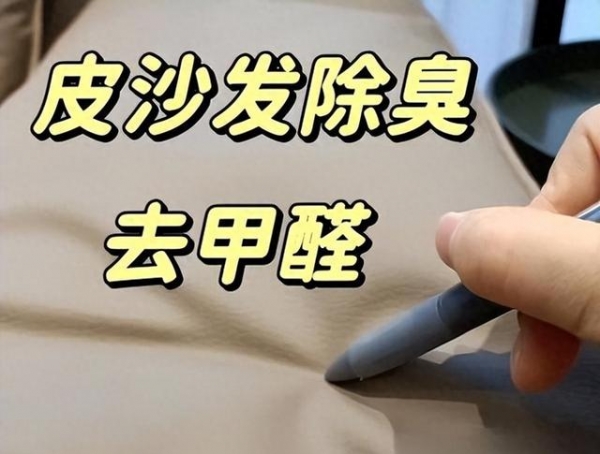 庭？建议学年轻人这么做那叫一个高级！OG真人平台客厅“沙发”退出中国家(图7)